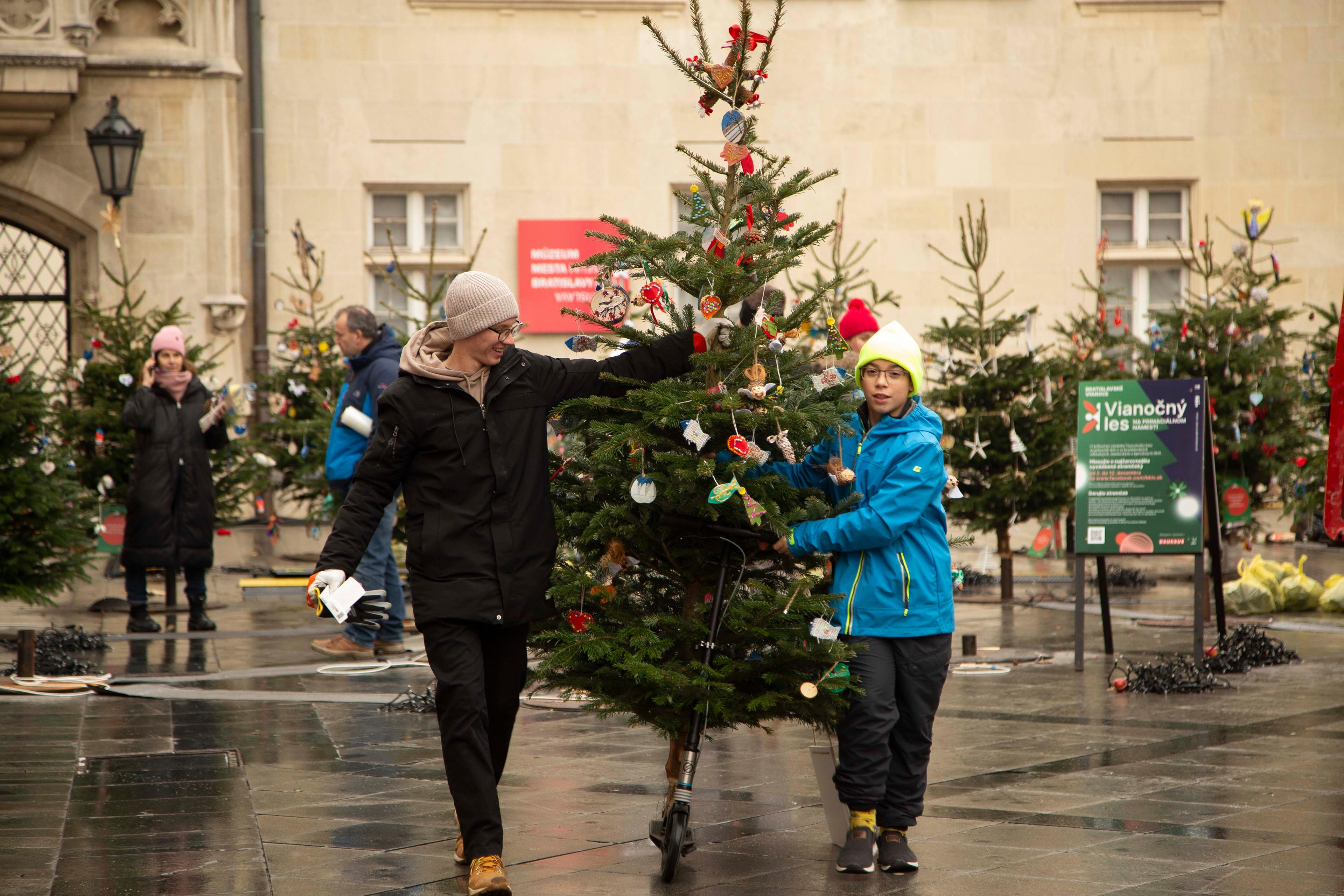Vianoce v Bratislave - ozdobovanie vianočných stromčekov na Primaciálnom námestí