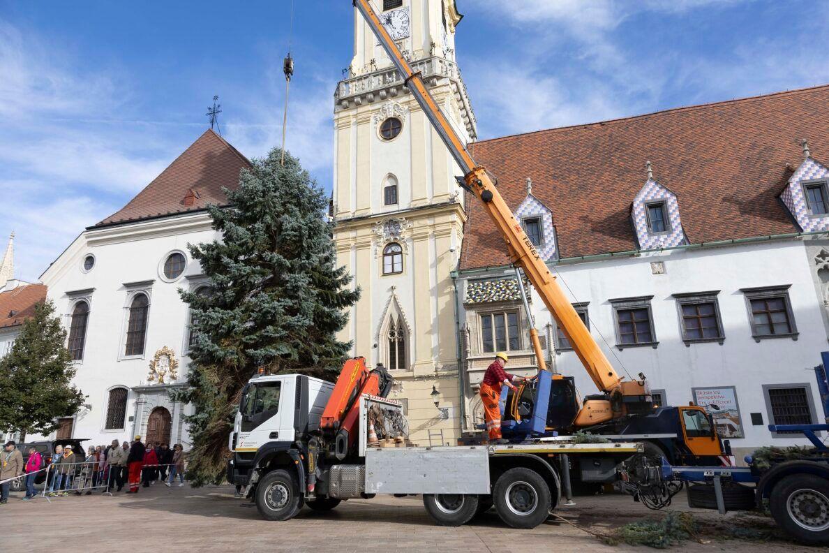 Stavanie vianočného stromčeka na Hlavnom námestí