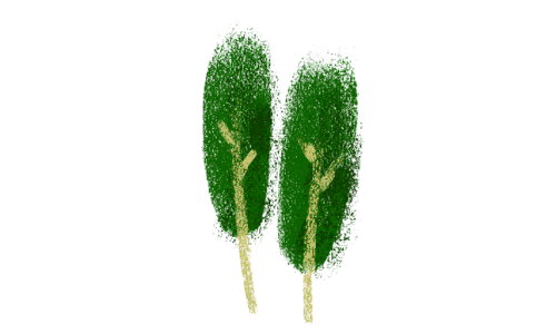 Ikona - stromy