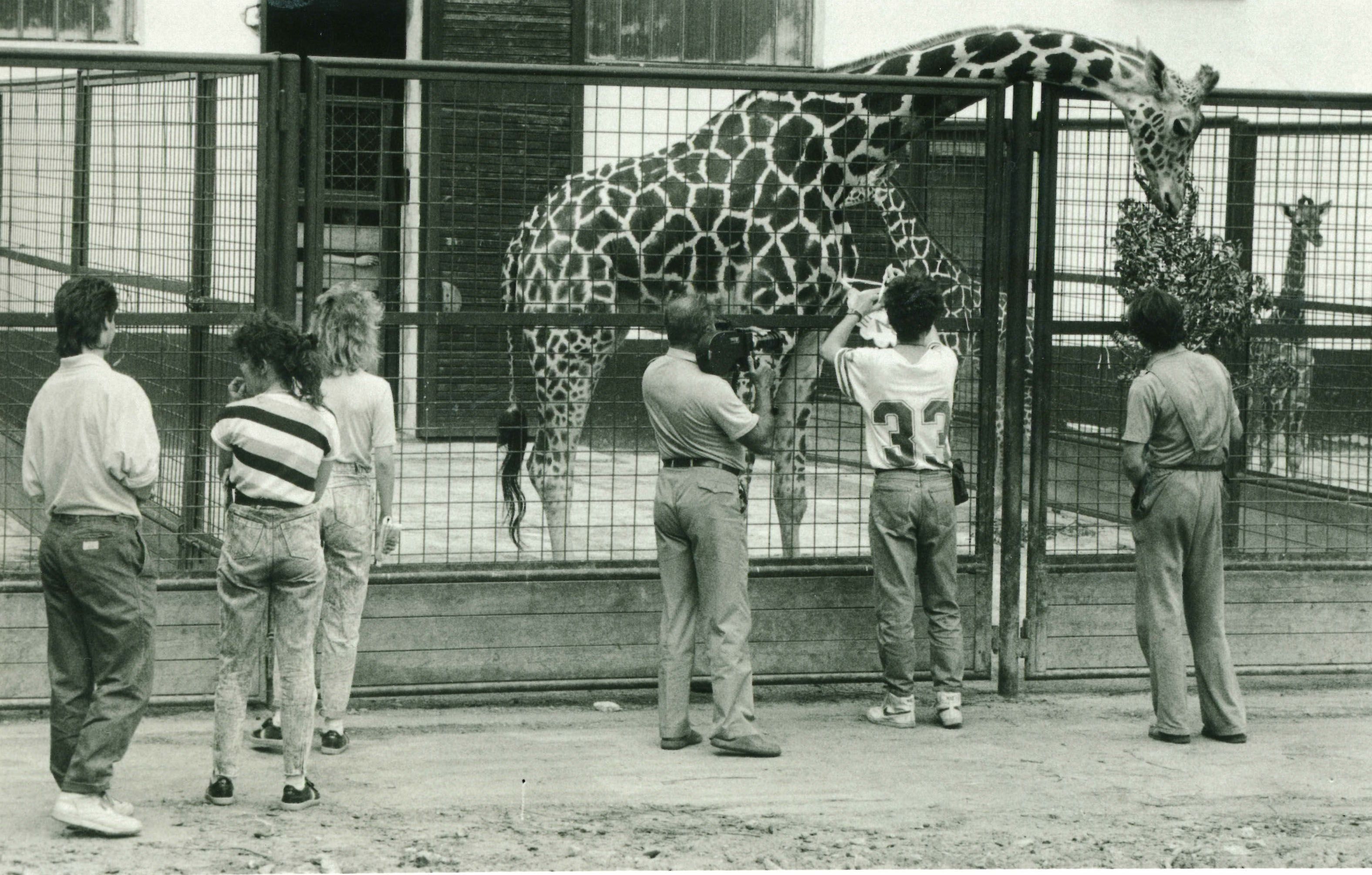 ZOO Bratislava si pripomína 65. výročie